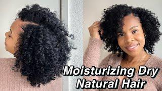 How to moisturize dry natural hair| wash day routine | length retention | Two Strand twist