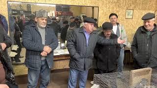 Открытие первой выставки "Голубей ," в городе Дербент 29. 01. 2023