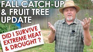 Fall Update and Fruit Tree Tour || Black Gumbo