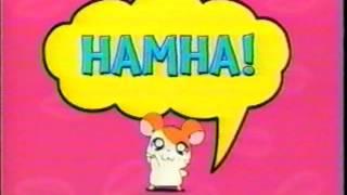 Hamtaro - GameBoy Color Game Boy Commercial (2002)