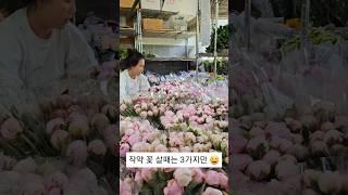작약 꽃은 3가지만 기억하세요