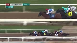 JOURNALISM wins the G2 DK Horse San Felipe Stakes