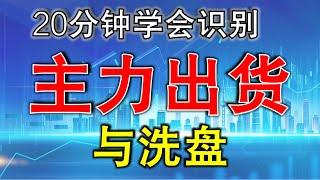 【出货与洗盘】20分钟学会识别主力出货与洗盘 | 股市新手必学 |案例分享