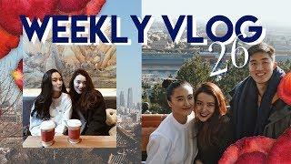 WEEKLY VLOG #26 | 回北京啦 | 日本购物分享 | House Tour | 最好吃地道的铜锅涮肉 | 爸爸生日 and more |