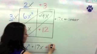 Lattice with Coefficients