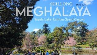 Down By 07 - A trip to Meghalaya| Laitlum Grand Canyon & Ward's Lake (Khublei Shillong) S1E01