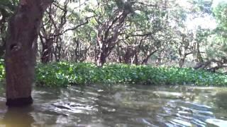 largest lake in South East Asia Tonle Sap | Amazing trip in cambodia