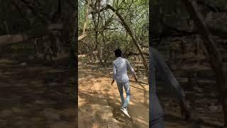 || Jungle mein mangal || must watch || shiva rajput vlogs || full vlog watch tomorrow 11 am