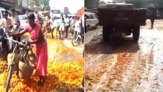 Watch | Angry farmers throw tonnes of tomatoes on roads