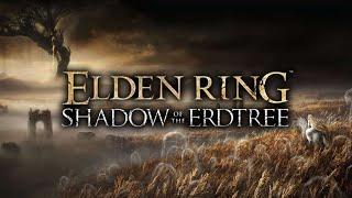 Elden Ring пробный билд Ядовитого боевого дракона. (билд не мой, списал) [#1]