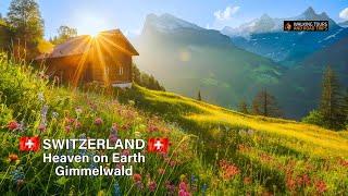 Gimmelwald Switzerland  Swiss Village Tour - Most Beautiful Villages in Switzerland 4k video walk