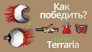 Близнецы эксперт - Близнецы тактика. Как убить близнецов в terraria эксперт [ террария - гайд ]