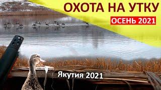 Осенний сезон охоты на уток в Якутии 2021