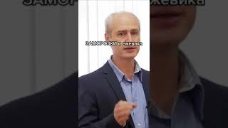ЗАМОРОЗКИ и ежевика