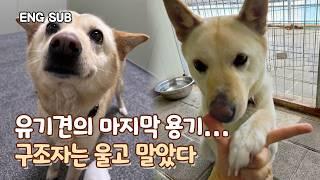 [EN] 4년째 철창 생활...간절했던 유기견의 행동 | 동심이 EP.1