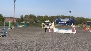 Showjumping from Snowball Farm ODE April 2019- Royal Dagger