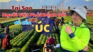 Tại Sao Người Việt Phải Đánh Đổi Để Đến Úc | Trần Anh Sơn