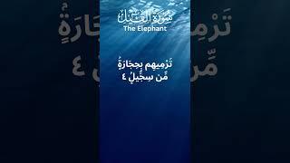 Surah Al-Fil with English Translation, Ayat 3-5, The Elephant part 2 #misharyalafasy #recitation