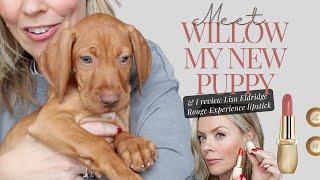 Vizsla Puppy chat and a makeup tutorial trialling Lisa Eldridges new Rouge Experience Lipstick.