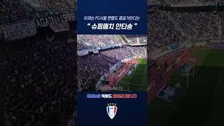 연고이전을 하면 안 되는 이유 ️ #패륜송 #안티송