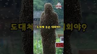 세계 각지의 기괴한 대회들