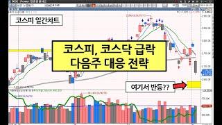 코스피, 코스닥 급락 / 다음주 대응 전략