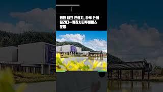 평창 대표 관광지, 하루 만에 즐긴다…평창시티투어버스 운영