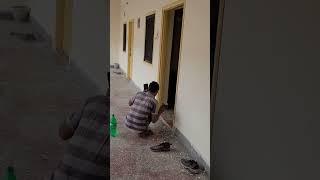 Rk.Painter