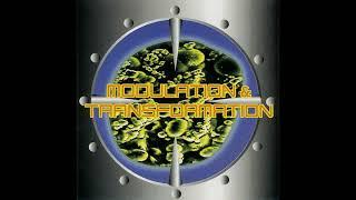 Modulation & Transformation (Electronic, IDM, 1994)