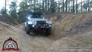 Exploring Citrus WMA's Dames Cave, Peace Cave, and Trails