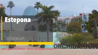 Estepona Orchidarium by www.Yourcostadelsolguide.com