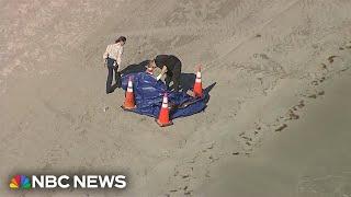 Human head washes ashore on Florida beach