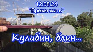 12.08.24  Вот переедете сюда, тоже будете этим заниматься