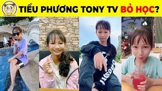 Khám Phá Tiểu Phương Tony TV Và Sự Thật Đằng Sau Kênh Youtube Triệu View Của Cô Nàng Lớp9 #youtuber