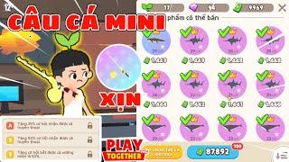 Play Together | Mình Cày Chay Thử Thách Câu Cá Mini Bằng Cần Câu Vàng | Toan Yolo Cày Chay #54