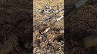 Поспорили что за сигнал #коп #кладоискатели #монеты