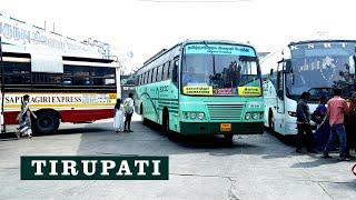 Tirupati Bus Station Live | APSRTC | KSRTC | TSRTC | SETC