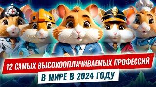 Рейтинг Hamster Kombat: 12 самых высокооплачиваемых профессий в мире в 2024 году