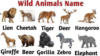 Wild Animals Name Vocabulary | Animals Name English Vocabulary | Common Words In English