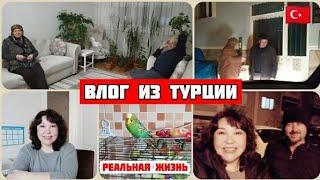 Влог из Турции/Кеша мой защитник/турецкие родители пришли в гости/всё принесли собой/реальная жизнь