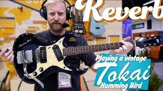 Vintage Tokai Hummingbird - Reverbs "Guitars of the 60's" display at #NAMM2020 - Surf, FUZZ & more!