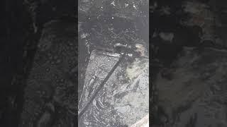 고압세척작업 공장하수관막힘 물고압청소High Pressure Cleaning Site Factory Sewage Tube Blocking Water Pressure Cleaning