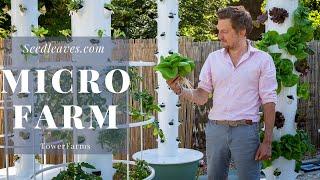 Seedleaves Aeroponics TowerGarden micro farm UK