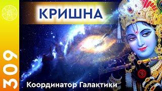 #309 Встреча с фантомом Кришны! Координатор Галактики Ведические предсказания: Кали-Юга Калки Аватар