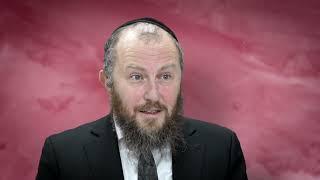 "Rhetorical Question" Vayechi 5785. Weekly Torah Short with Rabbi Asher Altshul