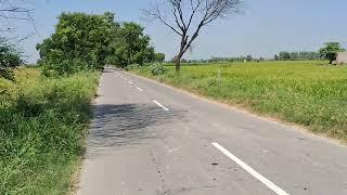 10 Acre Agriculture Land For Sale in Haryana | 9255380380 | #farming