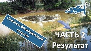 Как очистить пруд. Результат за 3 недели. ЧАСТЬ 2