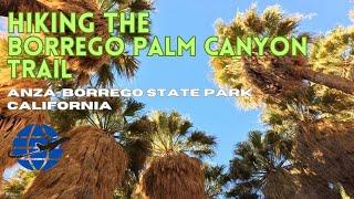 Hiking The Borrego Palm Canyon Trail