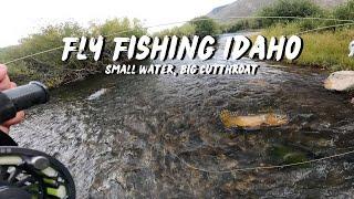 EXPLORING SMALL WATER - FLY FISHING FOR CUTTHROAT TROUT