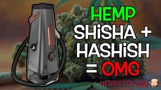 Hemp Shisha + Hashish = NEXT LEVEL!  The Ultimate Enso Shisha Experience